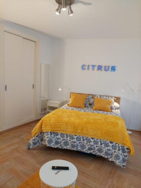 Citrus Suite by Alhaurín Loft City Center